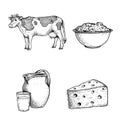 Milk and products sketch set, Cow, sour cream, jar and glass with fresh milk and triangle piece of cheese. Hand drawn dairy produc Royalty Free Stock Photo