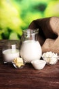 Milk products. tasty healthy dairy products on a table Royalty Free Stock Photo