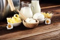 Milk products. tasty healthy dairy products on a table on. mozzarella in a bowl, cottage cheese bowl, butter swirls, glass bottle Royalty Free Stock Photo