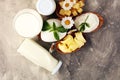 Milk products. tasty healthy dairy products on a table on. mozzarella in a bowl, cottage cheese bowl, butter swirls, glass bottle Royalty Free Stock Photo