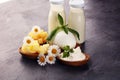 Milk products. tasty healthy dairy products on a table on. mozzarella in a bowl, cottage cheese bowl, butter swirls, glass bottle