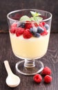 Milk pudding with berries in a glass Royalty Free Stock Photo