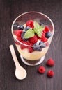 Milk pudding with berries in a glass Royalty Free Stock Photo