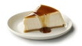 Milk Pudding, perfect slice of pudding with caramel syrup Royalty Free Stock Photo