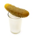 Milk and salted cucumber. Royalty Free Stock Photo