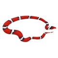 Milk snake isolated on a white background. Vector graphics