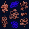 Milk snake with roses, skeleton royal python with skull, neon reptile with sword, Venomous Cobra. Viper template for