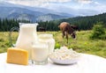 Milk, sour cream, cheese and cottage cheese on white table on background of meadows with cows in the mountains