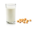 Milk with soy beans Royalty Free Stock Photo