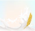 Milk spike wheat 3d illustration vector