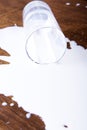 Milk spilled from glass Royalty Free Stock Photo