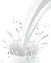 Milk splash Royalty Free Stock Photo