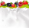Milk Splash Background, Fruit Berries And green Grass
