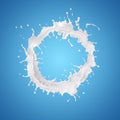 Milk splash in circle shape Isolated on blue background, Milk sp Royalty Free Stock Photo