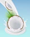 Milk splash and coconut. 3d vector object