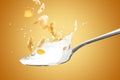 Milk Splash and Cornflakes on Spoon Royalty Free Stock Photo