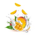 Milk splash 3d illustration with falling slices of mango fruit c Royalty Free Stock Photo
