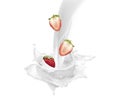 Milk splash effect with strawberries for design use Royalty Free Stock Photo