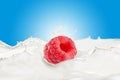Milk Splash and Fresh Raspberry Royalty Free Stock Photo