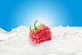 Milk Splash and Fresh Raspberry Royalty Free Stock Photo
