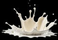 a milk splash isolated on black background Royalty Free Stock Photo