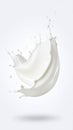 Milk Splash Isolated on White Background Liquid Motion Pure White Smooth Texture Drops Royalty Free Stock Photo