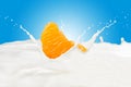 Milk Splash and Orange Citrus Fruit Royalty Free Stock Photo