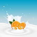 Milk splash with orange fruit Royalty Free Stock Photo