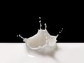 Milk Splash Over White Royalty Free Stock Photo