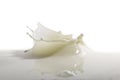 Milk Splash Royalty Free Stock Photo