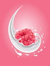 Milk splash with raspberry Royalty Free Stock Photo