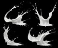 milk splash set isolated on black background Royalty Free Stock Photo