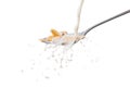 Milk splash on the spoon with cornflakes Royalty Free Stock Photo