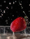 Milk splash with strawberries Royalty Free Stock Photo