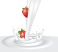 Milk splash with strawberries Royalty Free Stock Photo