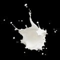 Milk splash Royalty Free Stock Photo