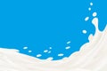 Milk splash vector illustration background isolated over blue. White creamy liquid flow with drops. Dairy product. 3d Royalty Free Stock Photo