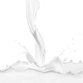 Milk Splash On White Background Royalty Free Stock Photo