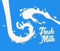 Milk Splashes Background. White Yogurt blot. Vector