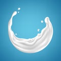 Milk splashes isolated on blue background Royalty Free Stock Photo