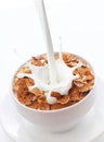 Milk splashing into chocolate cereal flakes