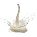 Milk splashing dynamically Royalty Free Stock Photo