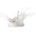 Milk splashing dynamically Royalty Free Stock Photo