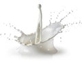 Milk splashing dynamically Royalty Free Stock Photo