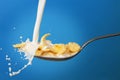 Milk splashing into spoon Royalty Free Stock Photo