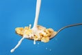 Milk splashing into spoon with cornflakes