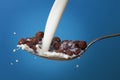 Milk splashing into spoon full of cornballs Royalty Free Stock Photo