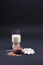 Milk and sports nutrition on a black background. Protein and food supplements. Royalty Free Stock Photo