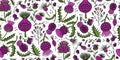 Milk Thistle flowers. Silymarin. Vector botanical illustration. Seamless pattern for your design Royalty Free Stock Photo