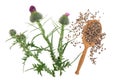 Milk Thistle Herb